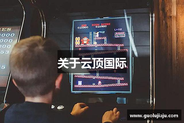 关于云顶国际